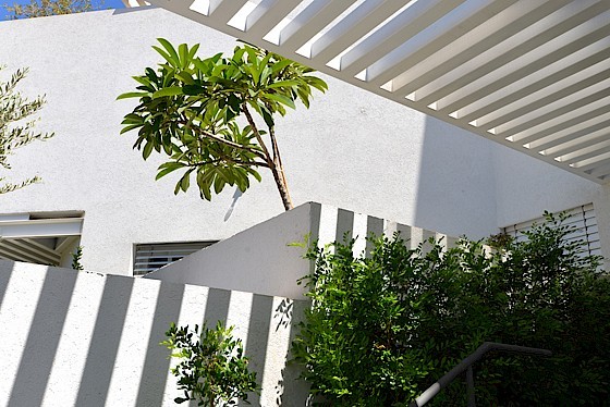 osishkin_shapira_7.655x374