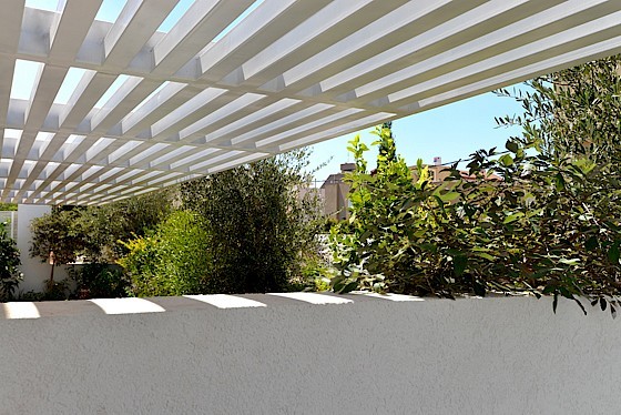 osishkin_shapira_8.655x374